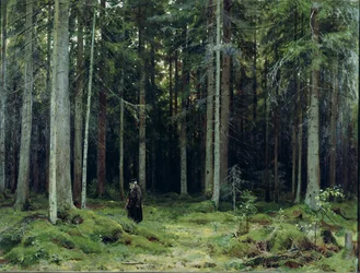 La foresta della contessa Mordvinov, 1891